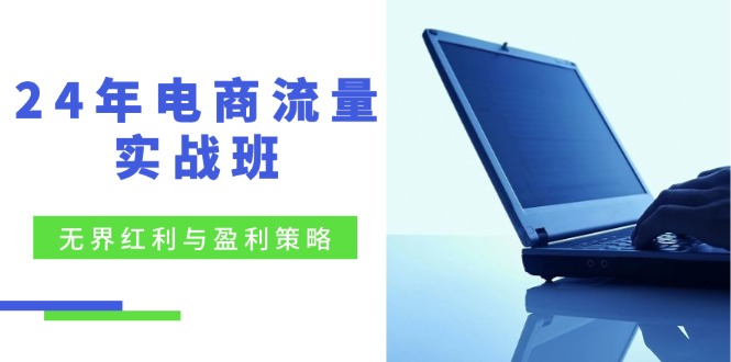 电商流量实战班：无界红利与盈利策略，终极提升/关键词优化/精准人群拓展/创新玩法-中创网-创业项目大全