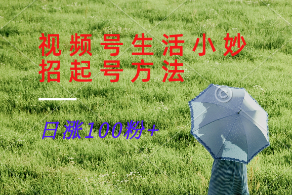 视频号生活小妙招分享赛道， 起号涨粉新方法，日涨100粉-中创网-创业项目大全