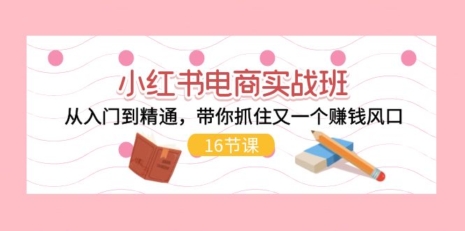 小红书电商实战演练班，实用教程，陪你把握住又一个挣钱出风口（17节）-中创网-创业项目大全