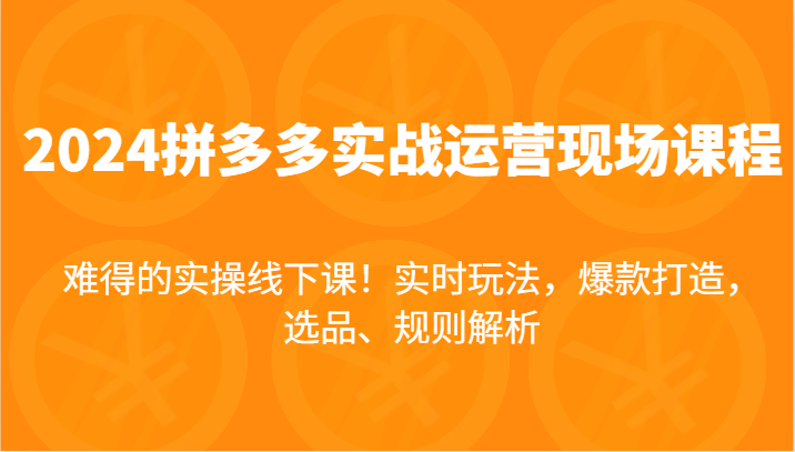 2024拼多多平台实战演练经营当场课，即时游戏玩法，爆款打造，选款、标准分析，不可多得的实际操作面授课！-中创网-创业项目大全