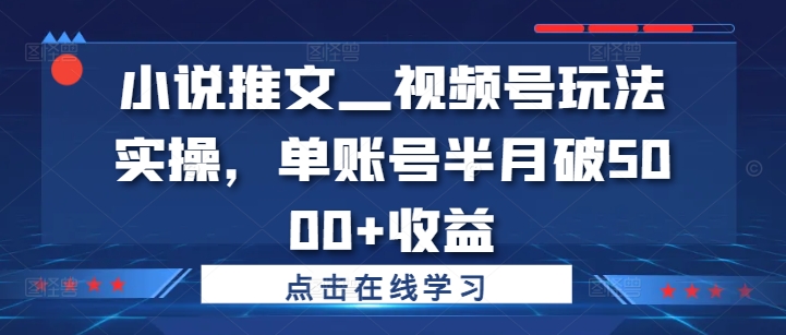 小说推文—视频号玩法实操，单账号半月破5000+收益-中创网-创业项目大全