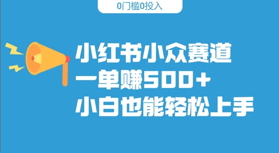 小红书小众赛道，一单收500+，小白也能轻松上手-中创网-创业项目大全