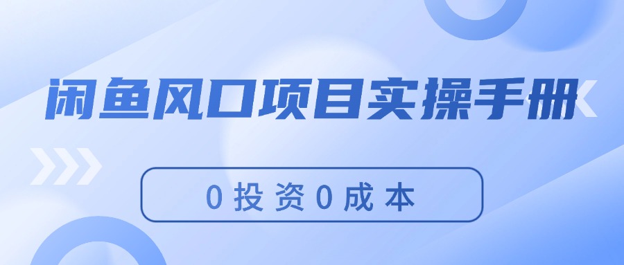 （11923期）闲鱼平台蓝海项目实际操作指南，0投入0成本费，使你保证，月入了万，初学者能做-中创网-创业项目大全