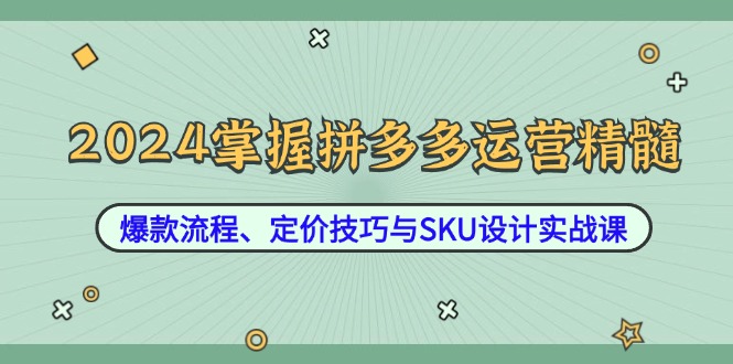 （12703期）2024掌握拼多多运营精髓：爆款流程、定价技巧与SKU设计实战课-中创网-创业项目大全