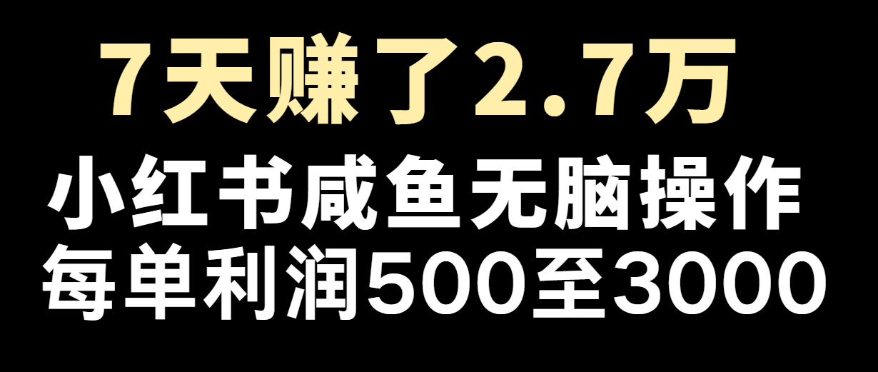 七天赚了2.7万！每单利润最少500+，轻松月入5万+小白有手就行-中创网-创业项目大全