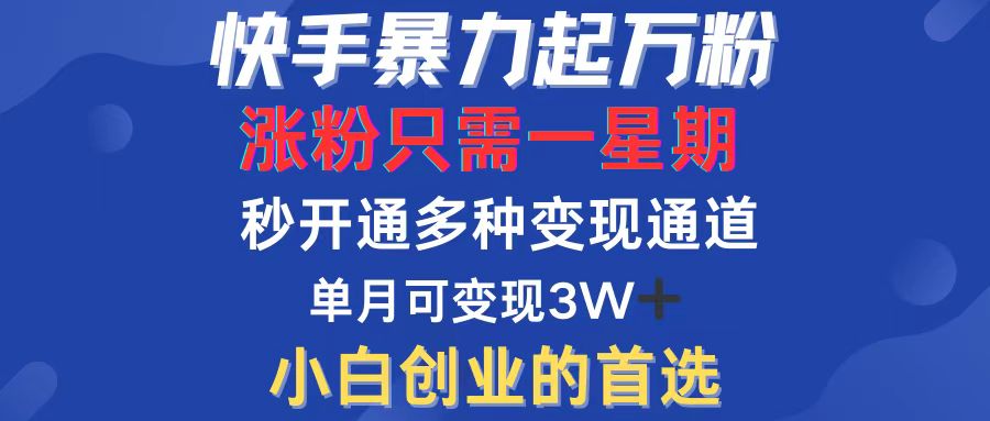 （12651期）快手暴力起万粉，涨粉只需一星期，多种变现模式，直接秒开万合，小白创…-中创网-创业项目大全