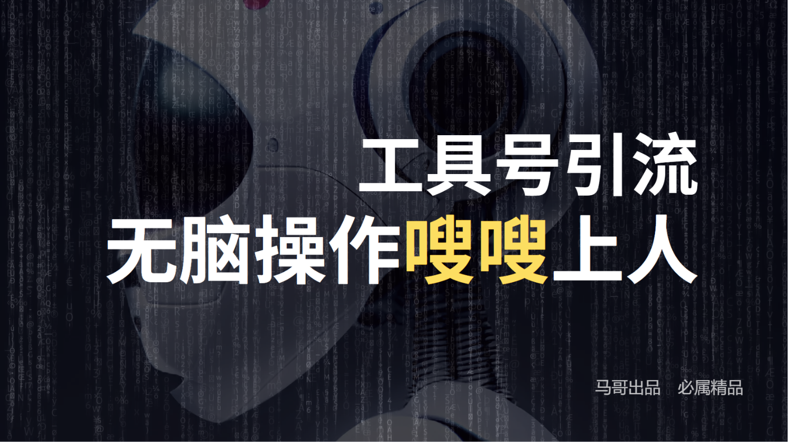 工具号高效引流法，嗖嗖上人，日引1000+，直接搬运，无脑操作-中创网-创业项目大全