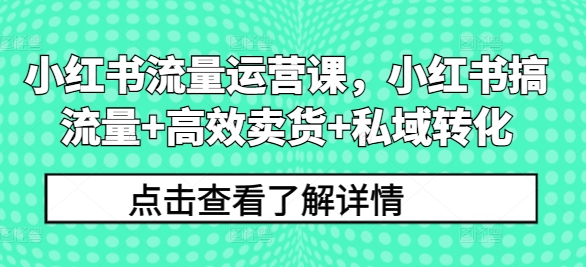 小红书流量运营课，小红书搞流量+高效卖货+私域转化-中创网-创业项目大全