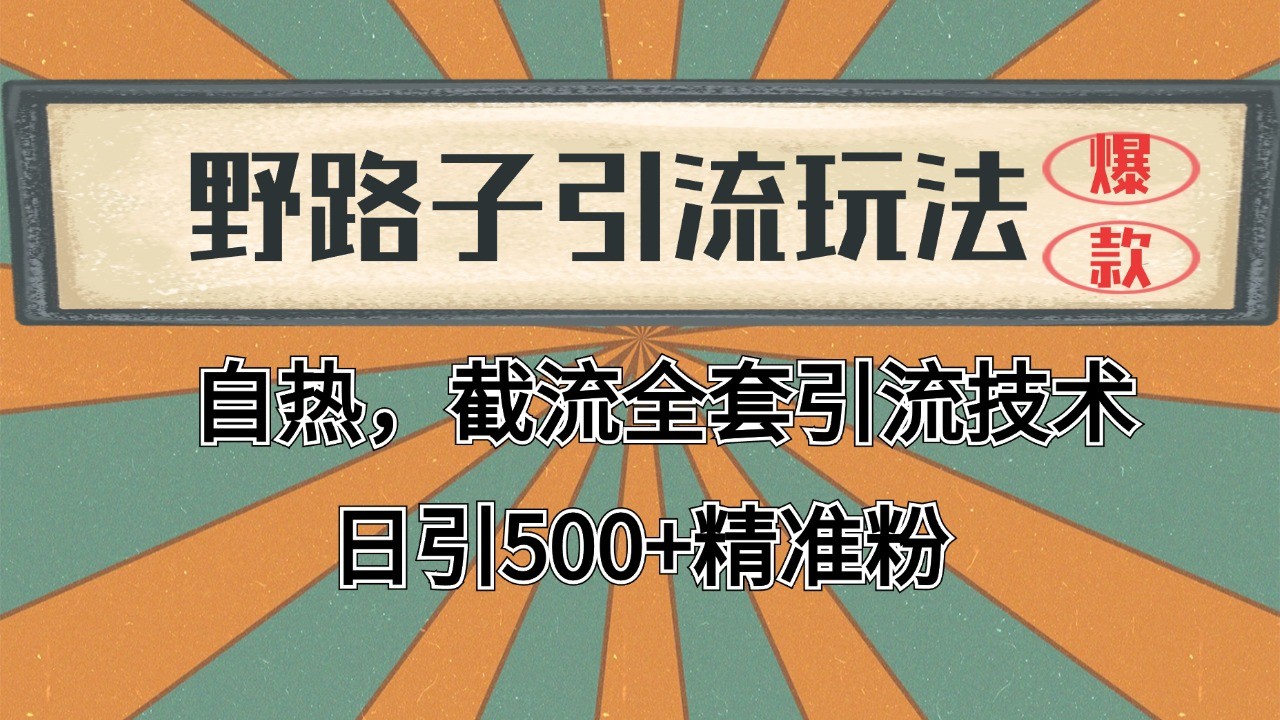 抖音小红书视频号全平台引流打法，全自动引流日引2000+精准客户-中创网-创业项目大全