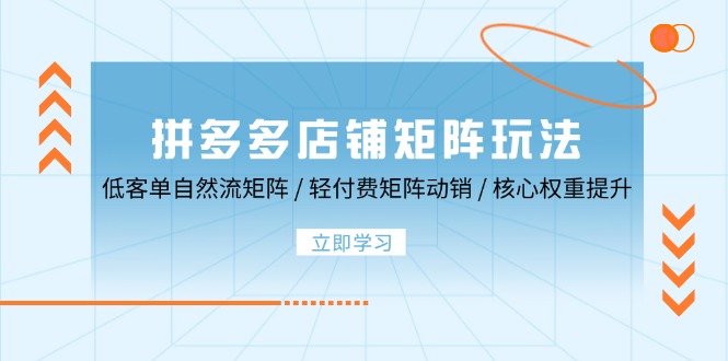 拼多多店铺矩阵玩法：低客单自然流矩阵 / 轻付费矩阵 动销 / 核心权重提升-中创网-创业项目大全