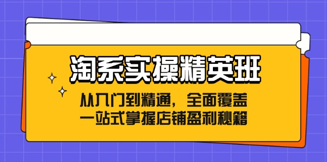 淘系实操精英班：从入门到精通，全面覆盖，一站式掌握店铺盈利秘籍-中创网-创业项目大全