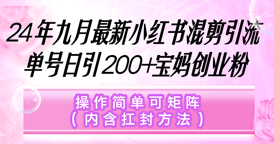 （12530期）小红书混剪引流，单号日引200+宝妈创业粉，操作简单可矩阵（内含扛封…-中创网-创业项目大全