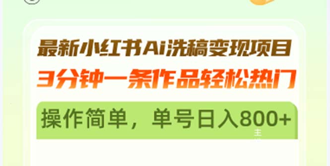 （13182期）最新小红书Ai洗稿变现项目 3分钟一条作品轻松热门 操作简单，单号日入800+-中创网-创业项目大全