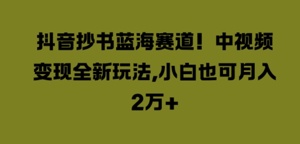 抖音抄书蓝海赛道，中视频变现全新玩法，小白也可月入2W+-中创网-创业项目大全