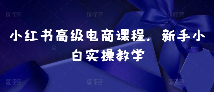 小红书高级电商课程，新手小白实操教学-中创网-创业项目大全