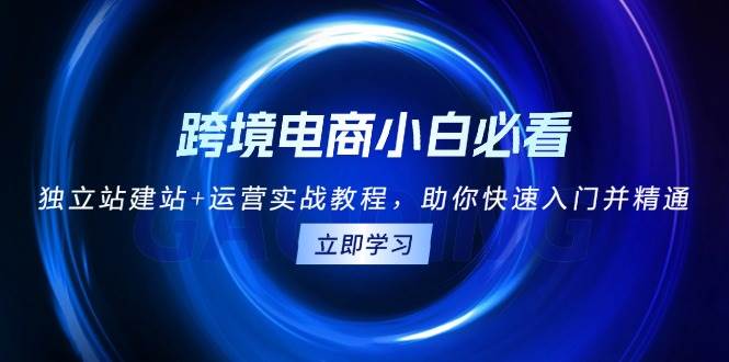 跨境电商小白必看！独立站建站+运营实战教程，助你快速入门并精通-中创网-创业项目大全