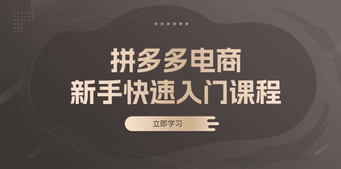 （13289期）拼多多电商新手快速入门课程：涵盖基础、实战与选款，助力小白轻松上手-中创网-创业项目大全