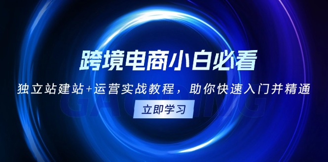 （13503期）跨境电商小白必看！独立站建站+运营实战教程，助你快速入门并精通-中创网-创业项目大全