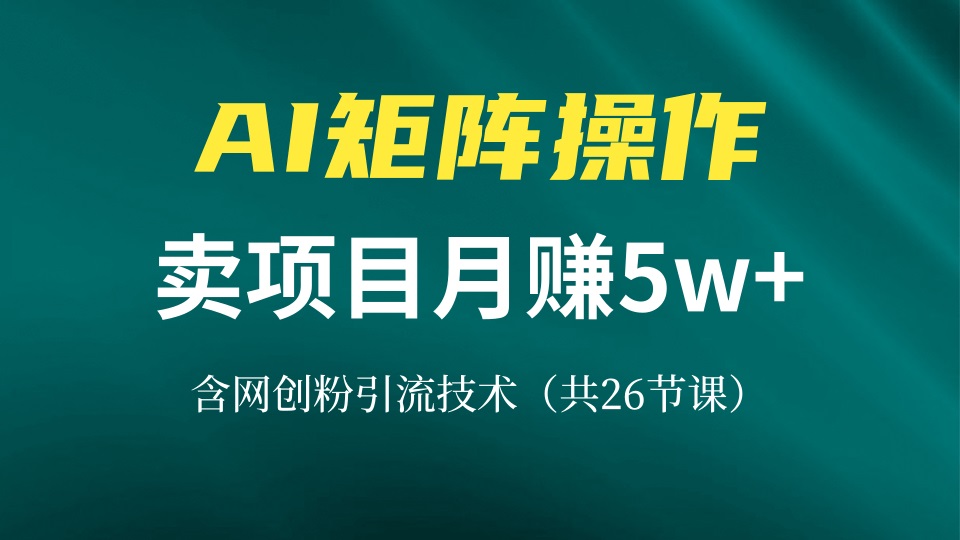 （13335期）网创IP打造课，借助AI卖项目月赚5万+，含引流技术（共26节课）-中创网-创业项目大全