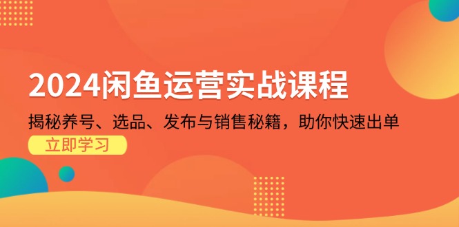（13290期）2024闲鱼运营实战课程：揭秘养号、选品、发布与销售秘籍，助你快速出单-中创网-创业项目大全