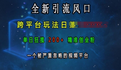 全新引流风口，跨平台玩法日入上k，单日狂揽200+精准创业粉，一个被严重忽略的视频平台-中创网-创业项目大全