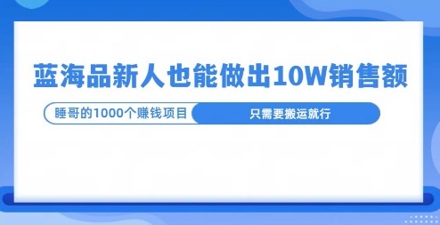 这个蓝海品，新号也能卖出10W的销售额，年底疯狂怼量就能出结果-中创网-创业项目大全