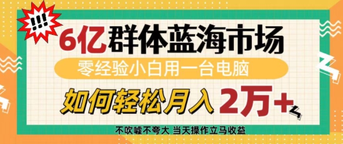 6亿群体蓝海市场，零经验小白用一台电脑，如何轻松月入过w【揭秘】-中创网-创业项目大全