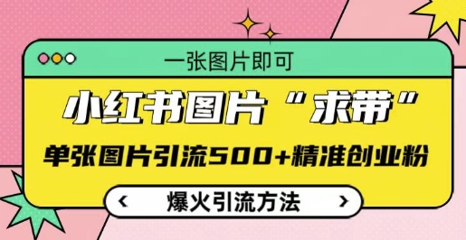 小红书图片‘求带’爆火引流法，单张图片引流500+精准创业粉【揭秘】-中创网-创业项目大全