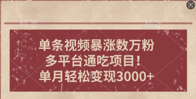 一条作品涨万粉，轻松上手，单月简单变现3000+-中创网-创业项目大全