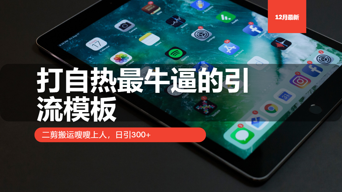（13654期）打自热最牛逼的引流模板，二剪搬运嗖嗖上人，日引300+-中创网-创业项目大全