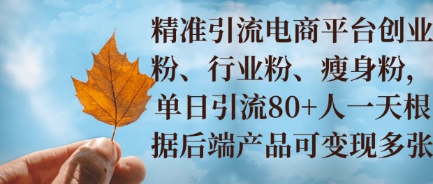 小投资撬动大收益，精准引流创业粉、行业粉，单日引流80+，一天可变现多张-中创网-创业项目大全