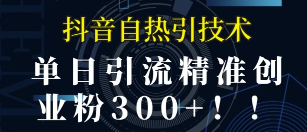 抖音自热引流，单日引流精准创业粉300+-中创网-创业项目大全