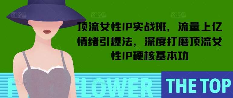 顶流女性IP实战班，流量上亿情绪引爆法，深度打磨顶流女性IP硬核基本功-中创网-创业项目大全
