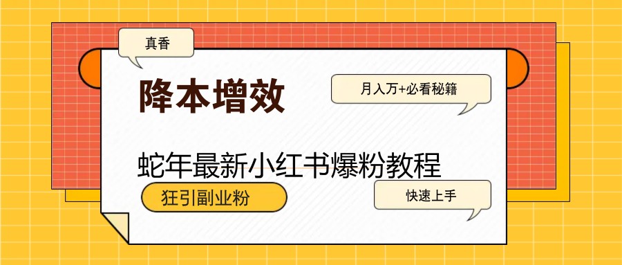 蛇年最新小红书爆粉教程，狂引副业粉，月入万+必看-中创网-创业项目大全