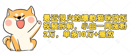最近很火的爆款猫咪做饭视频拆解，小白一周涨粉2万，单条10万+播放(附保姆级教程)-中创网-创业项目大全