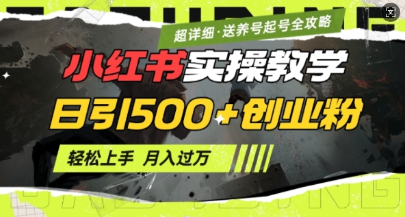 2月小红书最新日引500+创业粉实操教学【超详细】小白轻松上手，月入1W+，附小红书养号起号SOP-中创网-创业项目大全