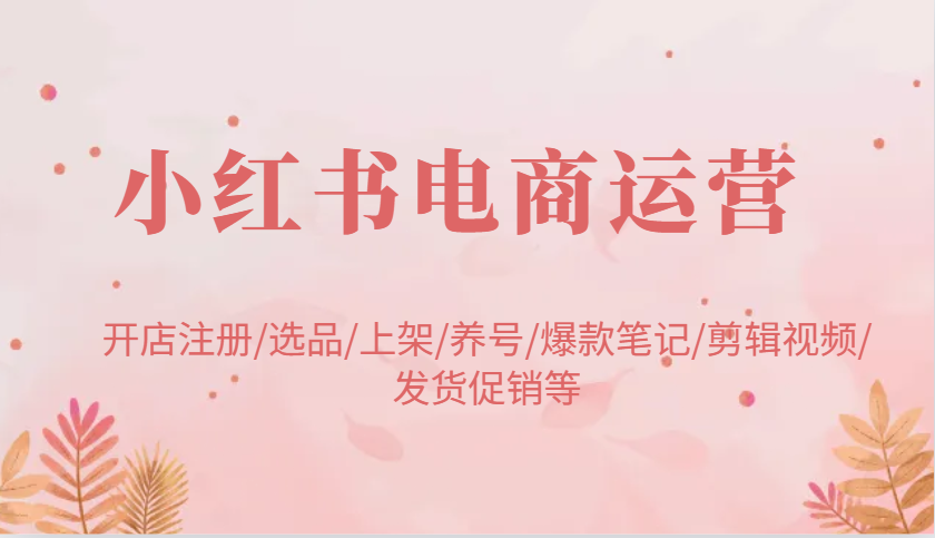 小红书电商经营：开实体店申请注册/选款/发布/起号/爆品手记/视频编辑/安排发货促销等-中创网-创业项目大全