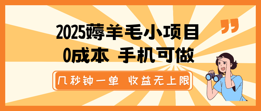 2025撸羊毛小程序，0成本费 手机能做，几秒一单，盈利无限制-中创网-创业项目大全