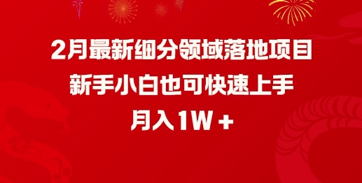 2月全新细分行业落地项目，新手入门也可以快速入门，月收入1W-中创网-创业项目大全