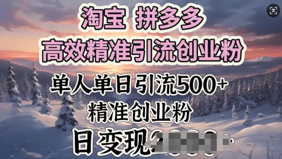 淘宝拼多多高效率精准引流方法自主创业粉，单人单日引流方法500 自主创业粉，日转现好几张-中创网-创业项目大全