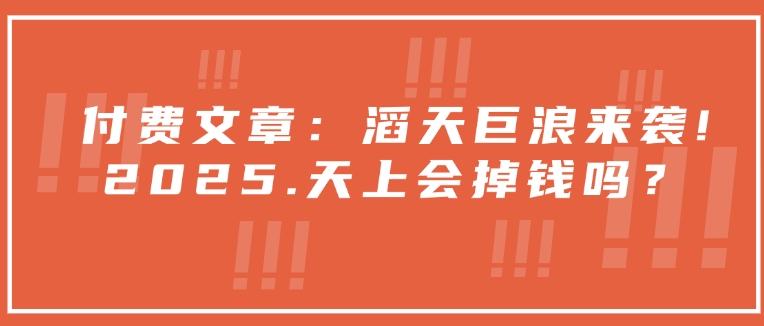 付费文章：狂风巨浪来临！2025天空就掉了钱吗？-中创网-创业项目大全