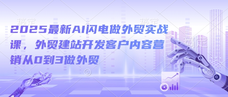 2025全新AI雷电做跨境电商实战演练课，外贸网站建设寻找客户内容运营从0到3做跨境电商-中创网-创业项目大全