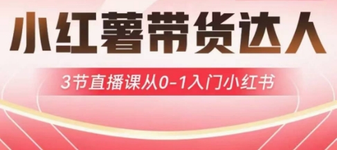 小红书主播带货启航计划，3节视频课堂从0-1新手入门小红书的-中创网_专注互联网创业,项目资源整合-中创网-创业项目大全