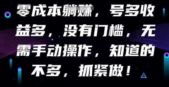 零成本全自动，号多收益多，没有门槛，无需手动-中创网-创业项目大全
