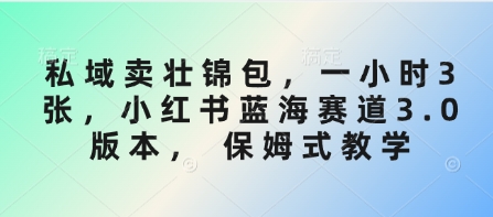 公域卖壮锦包，一小时3张，小红书的瀚海跑道3.0版本号， 跟踪服务课堂教学-中创网_专注互联网创业,项目资源整合-中创网-创业项目大全