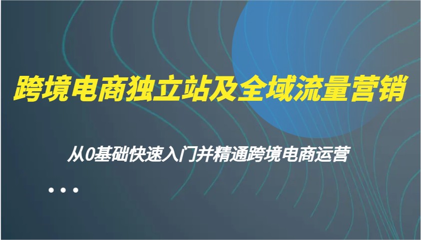 跨境电商电商独立站及全域流量营销推广，从0根本快速上手并熟练跨境电商运营-中创网-创业项目大全