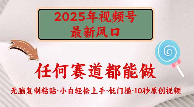 （14453期）2025年微信视频号新蓝海，门槛较低只需没脑子实行-中创网-创业项目大全