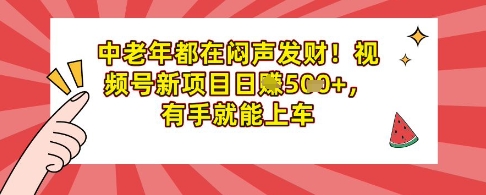中老年人都是在闷声发财，微信视频号最新项目日入好几张，两双手就可进入车内-中创网_专注互联网创业,项目资源整合-中创网-创业项目大全