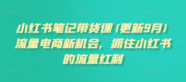 小红书笔记带货课(更新25年3月)流量电商新机会，抓住小红书的流量红利-中创网-创业项目大全