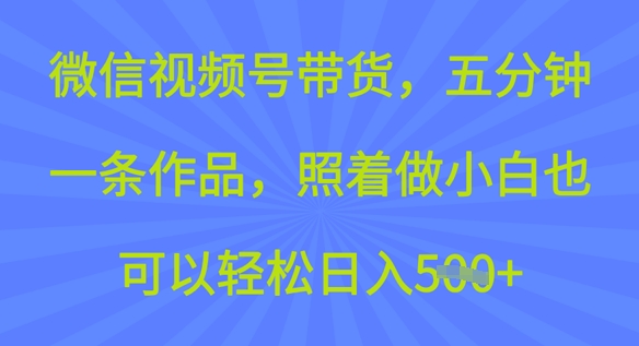视频号卖货，五分钟一条著作，跟着做新手也能轻松日入5张-中创网-创业项目大全